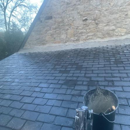 Traitement anti-mousse pour toiture dans le Morbihan